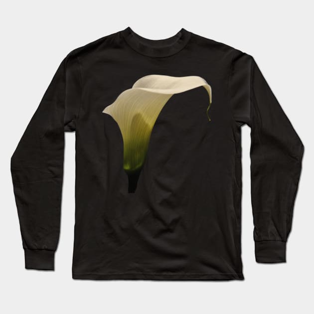 White Calla Lily Long Sleeve T-Shirt by MolinArte